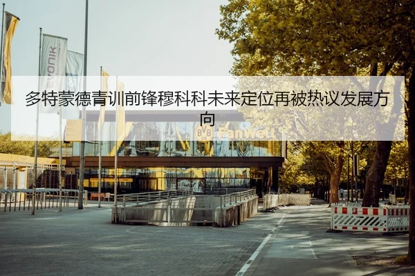 多特蒙德青训前锋穆科科未来定位再被热议发展方向